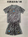 Brazil Training Set - Grey