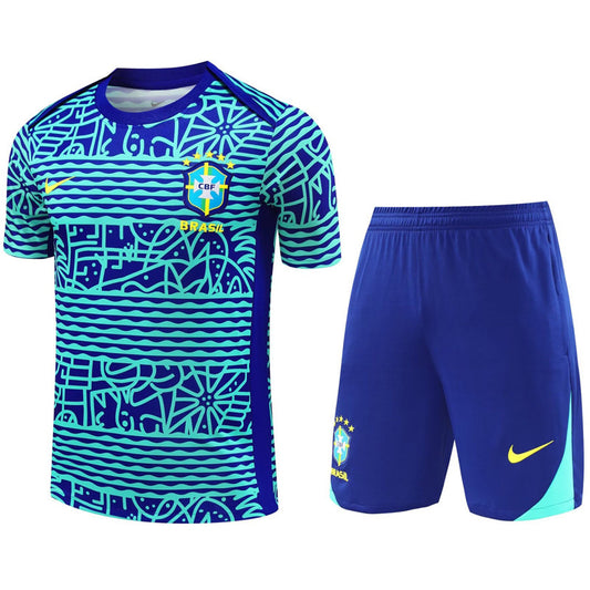 Brazil Training Set - Aztec