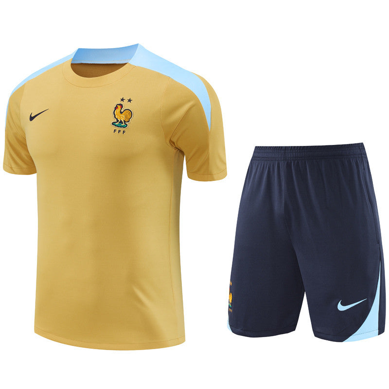 France Training Set - Gold